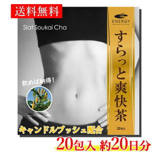 【送料無料・メール便 】キャンドルブッシュ配合 ノンカフェイン 健康茶 茶師監修 ! エナジー すらっと爽快茶 20包 20日分 キャンドルブッシュ エビスグサの種子 玄米 みかんの果皮 甘草 明日葉 乳酸菌
