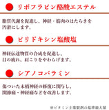 【第3類医薬品】 コンドロチンSPプレミアム 270錠 30日分 1ヶ月分 関節痛 神経痛 腰痛