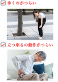 【第3類医薬品】 コンドロチンSPプレミアム 270錠 30日分 1ヶ月分 関節痛 神経痛 腰痛