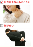 【第3類医薬品】 コンドロチンSPプレミアム 270錠 30日分 1ヶ月分 関節痛 神経痛 腰痛