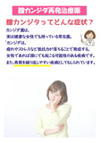 【第1類医薬品】【興亜製薬】シュトガード膣カンジダ坐剤6個入り膣カンジダ再発治療薬薬剤師の確認後の発送となります。何卒ご了承ください。※セルフメディケーション税制対象商品