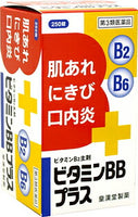 【第3類医薬品】ビタミンBBプラス　「クニヒロ」250錠【第3類医薬品】【皇漢堂】