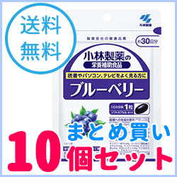 【送料無料！まとめ買い！10個セット！】小林製薬の栄養補助食品ブルーベリー　30粒（約30日分）