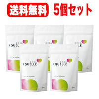 【送料無料！5個セット】【大塚製薬】エクエルEQUELLE120粒×5個パウチタイプ