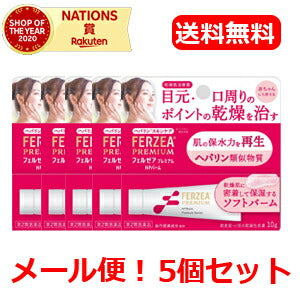 LION【ライオン】【メール便！送料無料】【5個セット】フェルゼアプレミアムHPバーム10g×5個セット