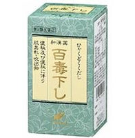 【第2類医薬品】【翠松堂製薬】　百毒下し　256粒